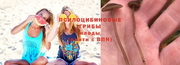 ECSTASY Алзамай