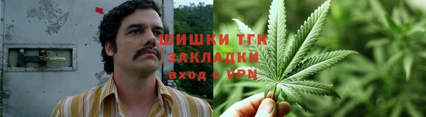 ECSTASY Алзамай