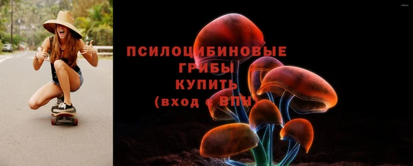 амф Алексин