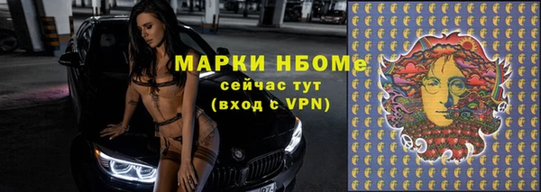 ECSTASY Алзамай