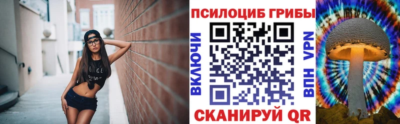 Галлюциногенные грибы MAGIC MUSHROOMS купить Лаишево