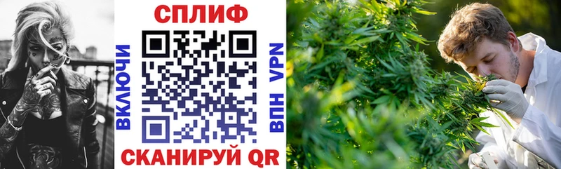Каннабис планчик  где купить наркоту  Лаишево 